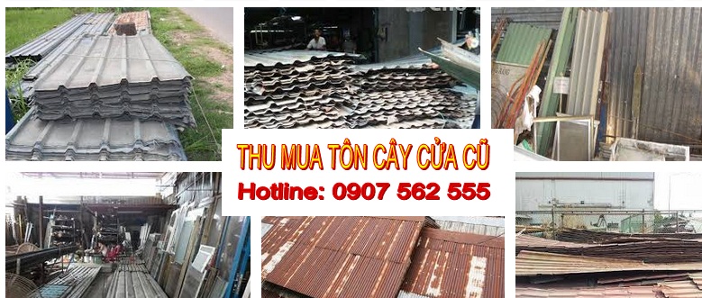 mua tôn cây cũ tại tphcm